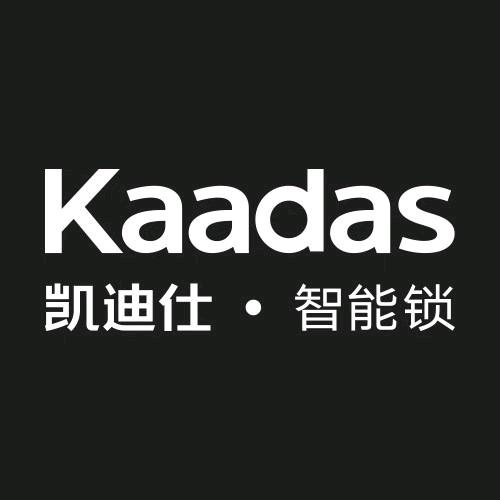 巴东县凯迪仕智能锁