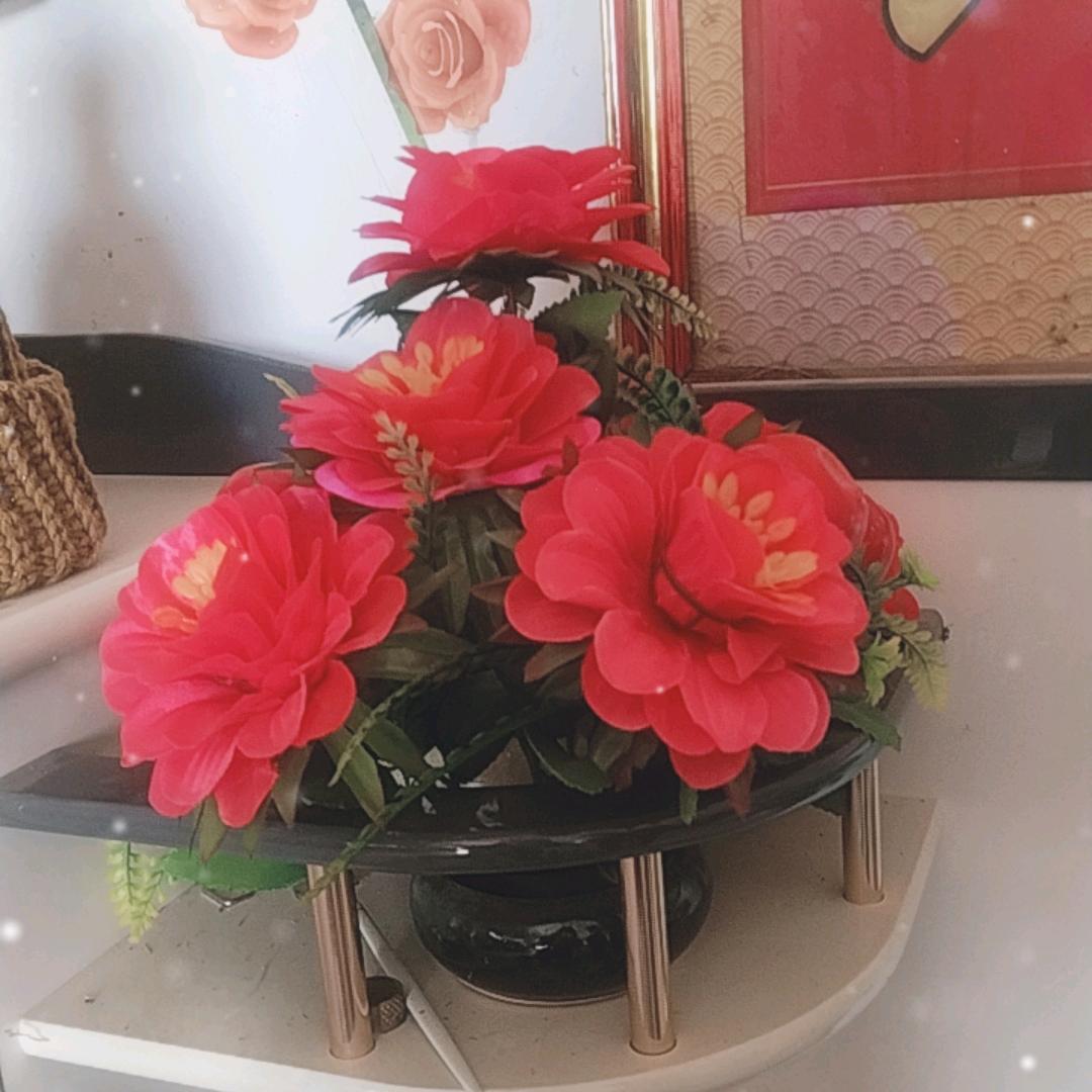 身体健康