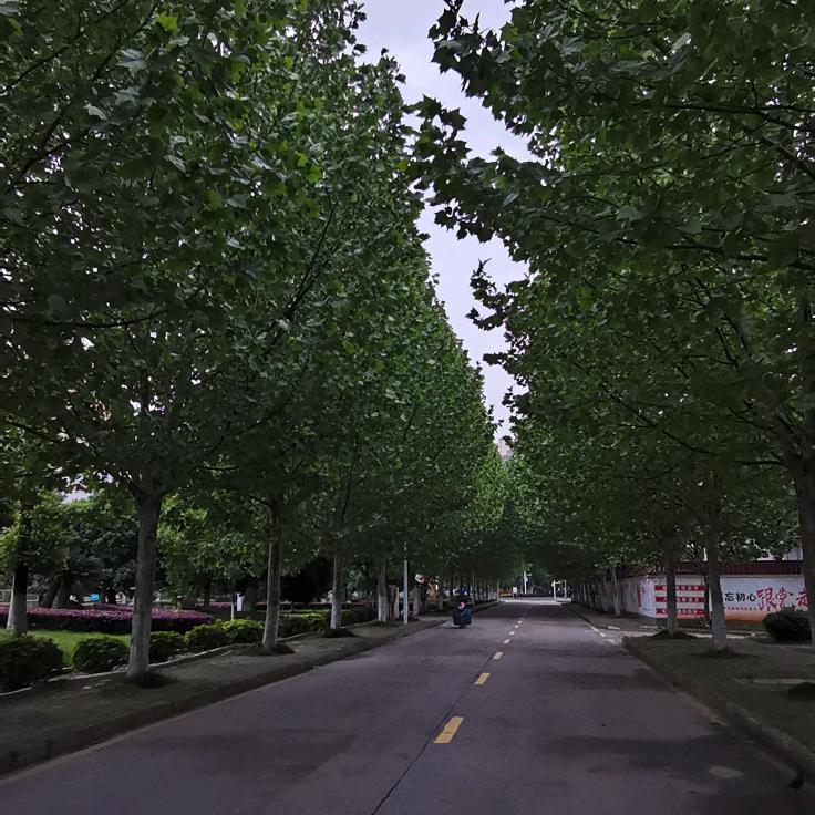 石门县龚师傅木器店