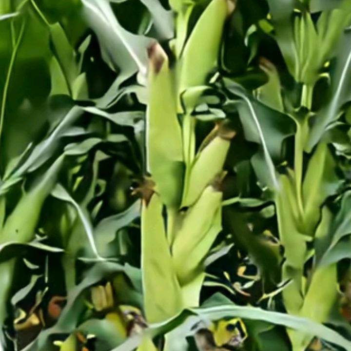 你在哪里。我一直等你