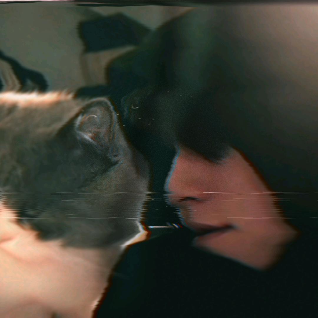 𝕳