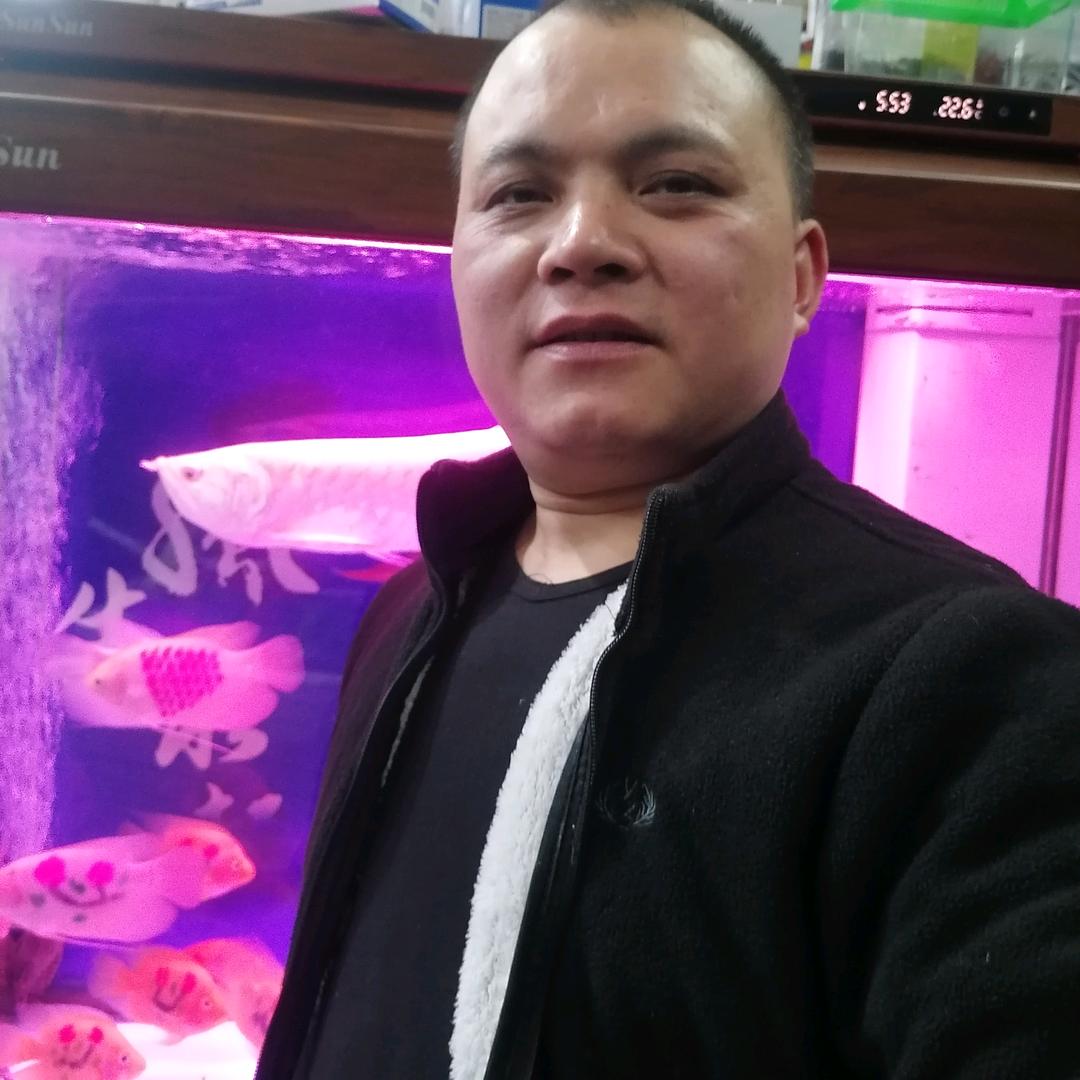 小鱼哥