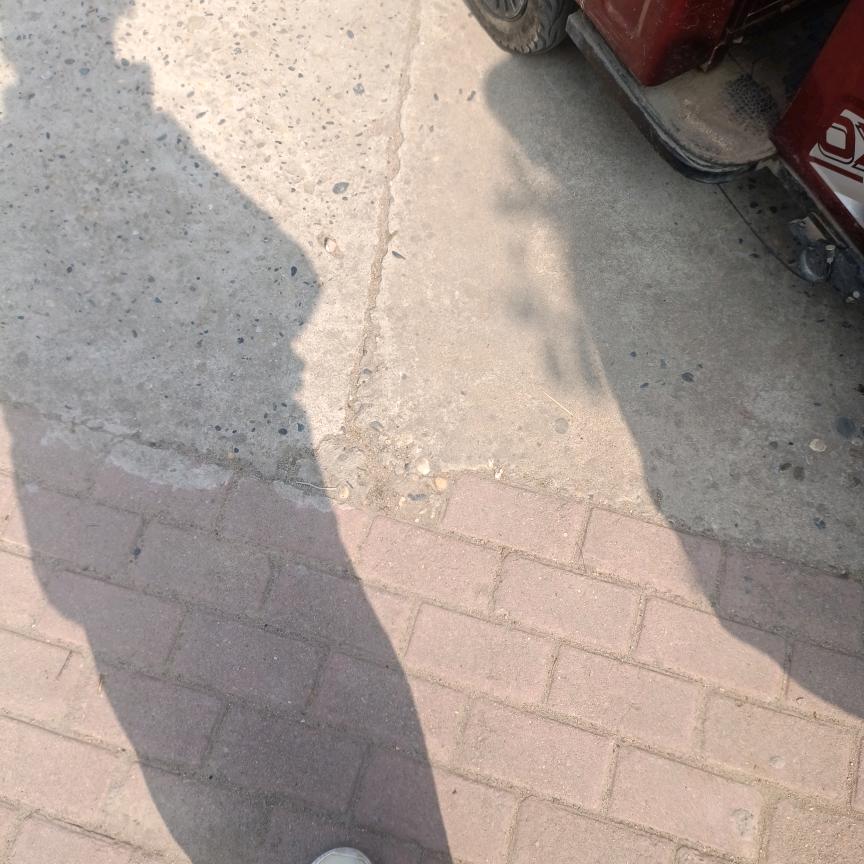 哦哦