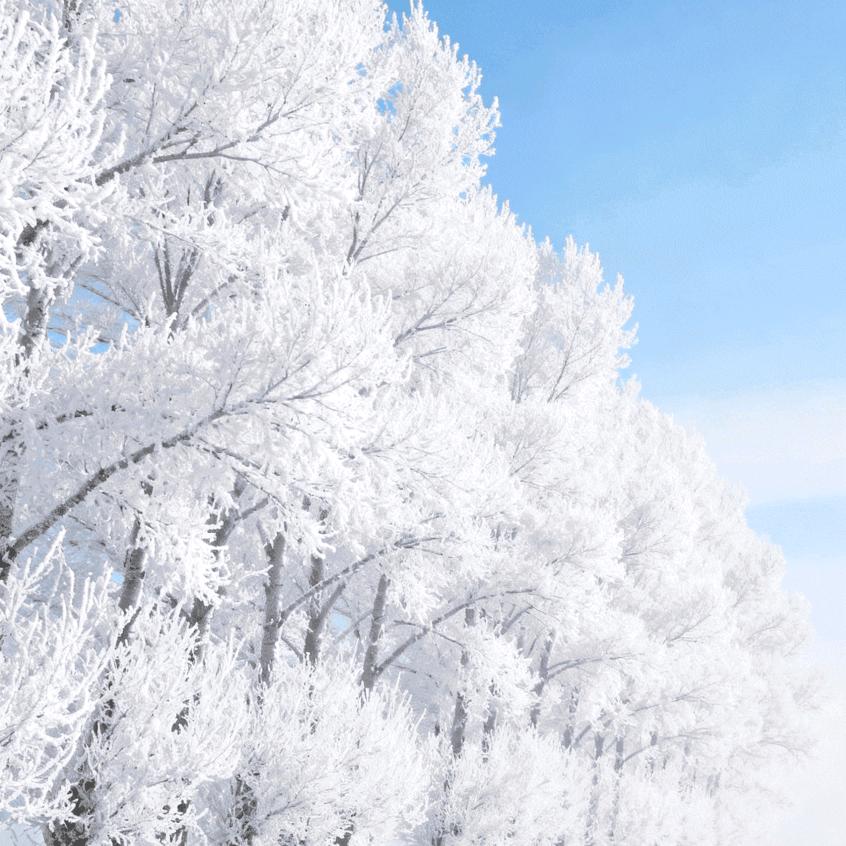 ヾ 祝你天天开心，身体健康，万事如意^_