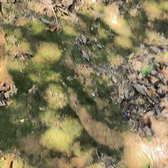 拆除吊顶，地板，拆墙各类拆除等