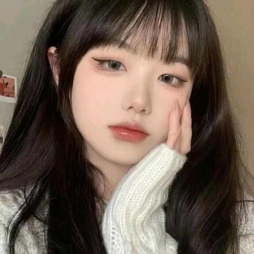 海苔🐱