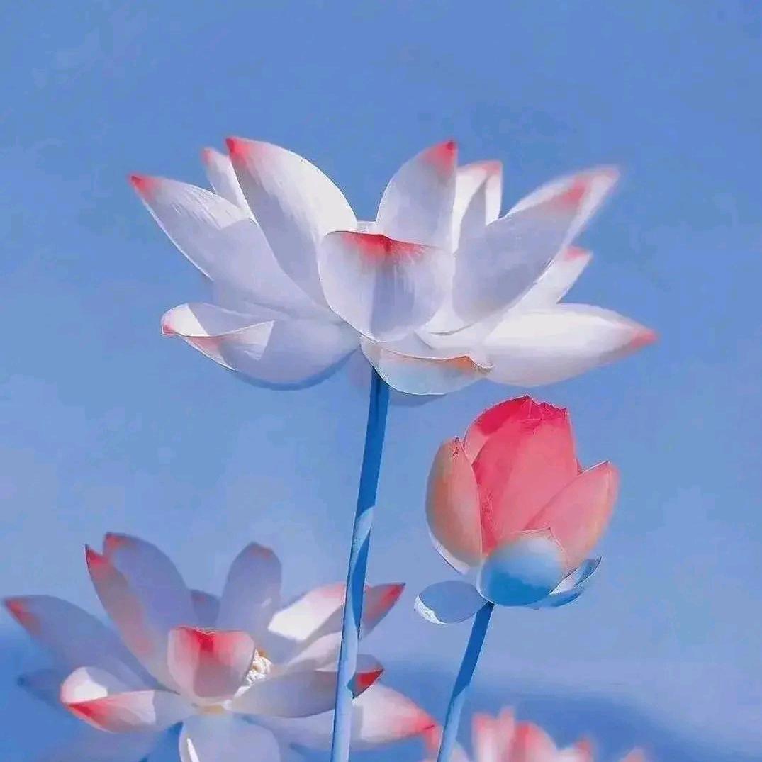 平安喜乐😊😊