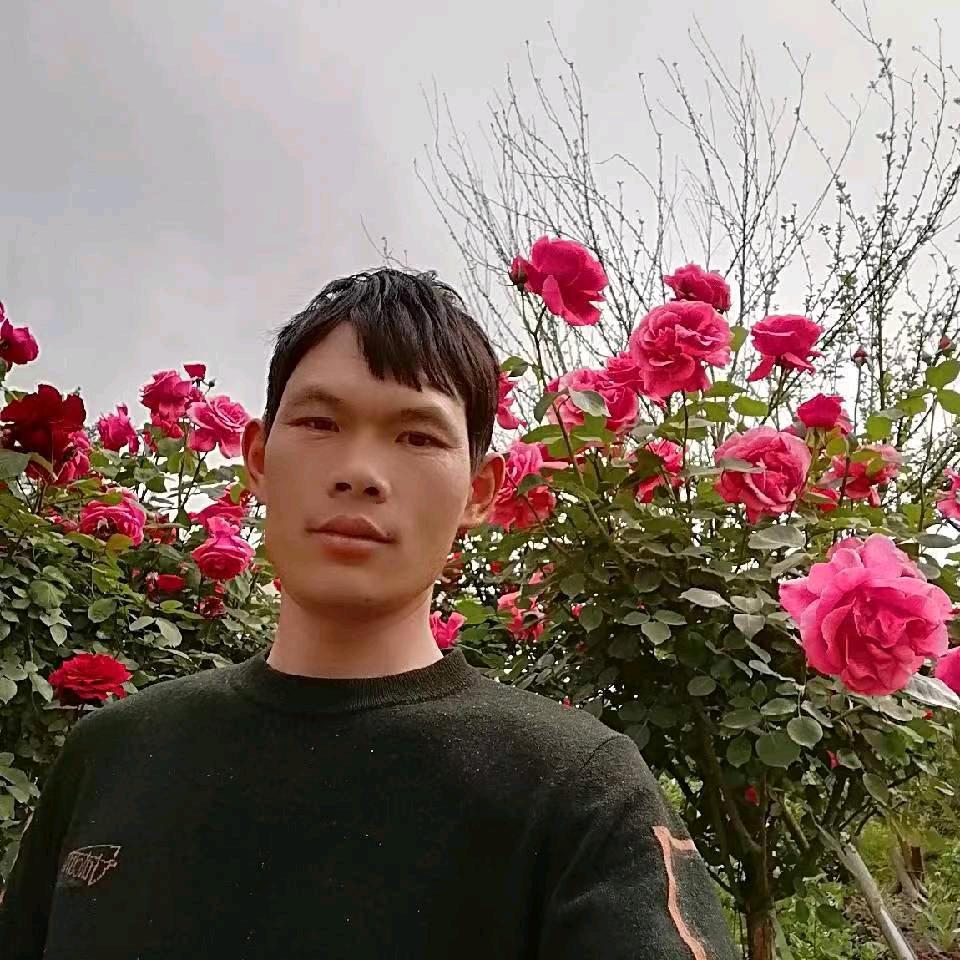 李付强李寨小学南500米