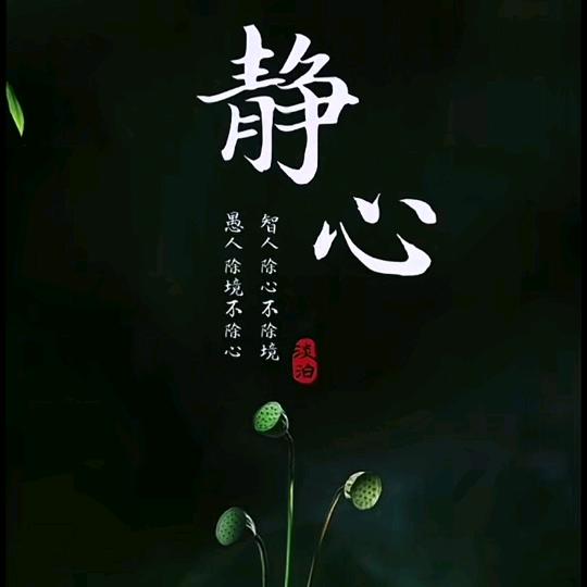 通庆发商行爆爆