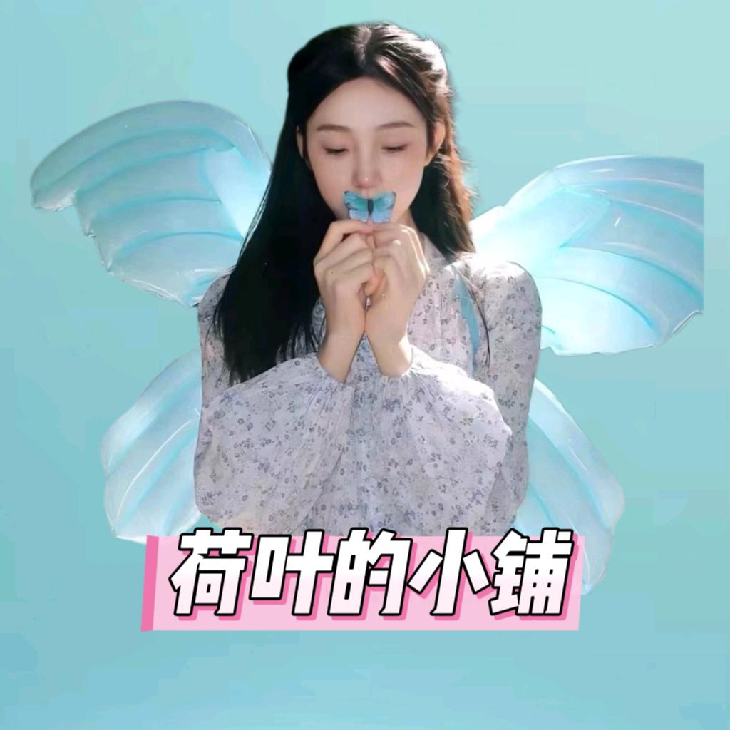 荷叶的小铺