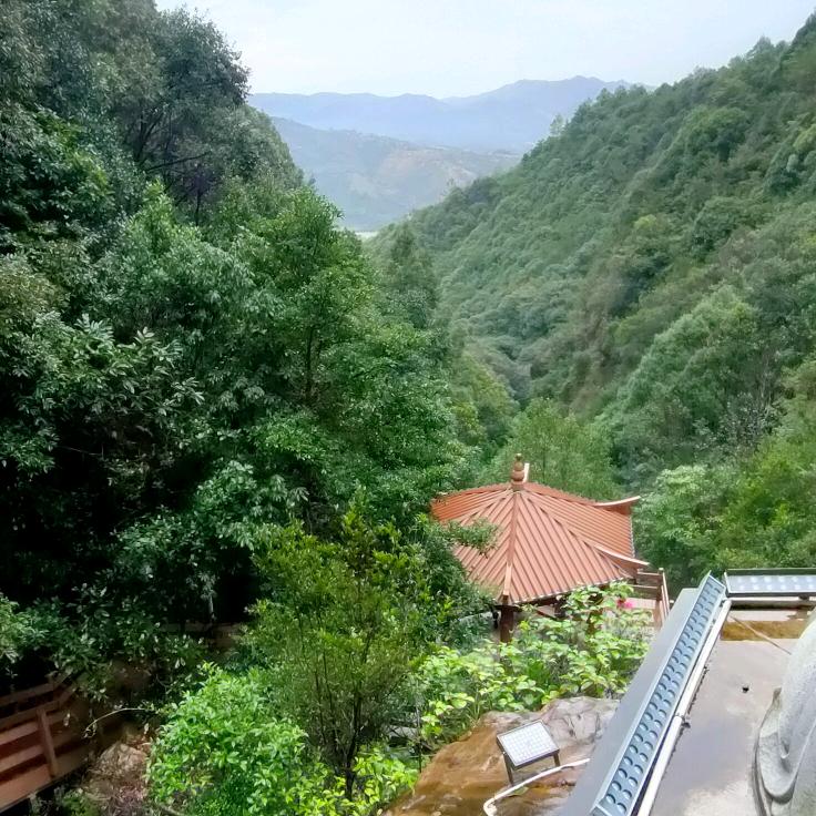 林林好物