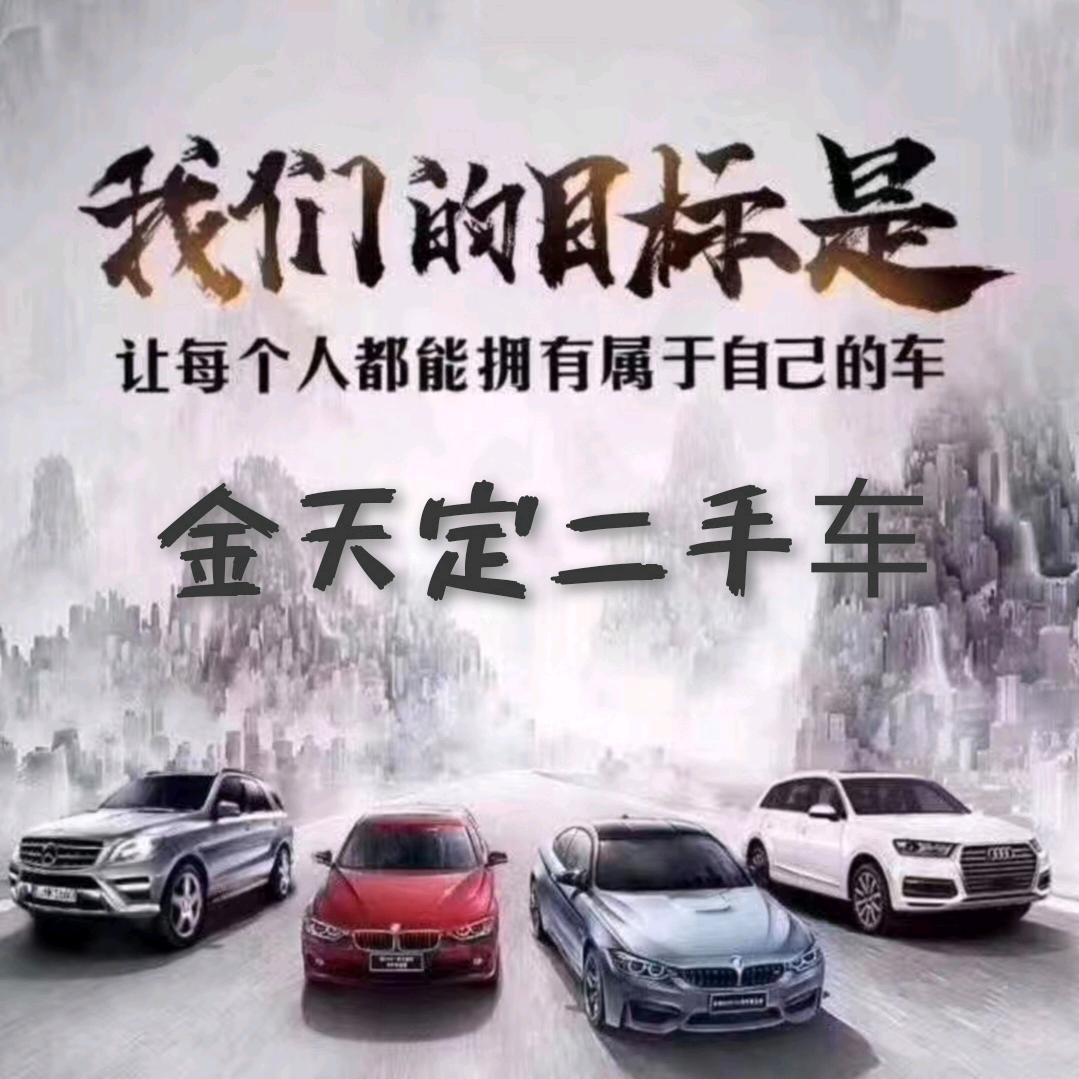 金天定二手车