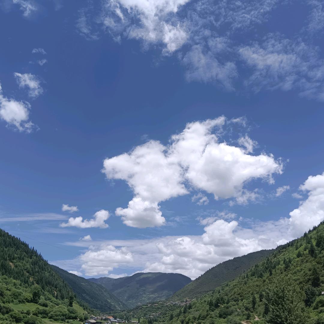 精致好物