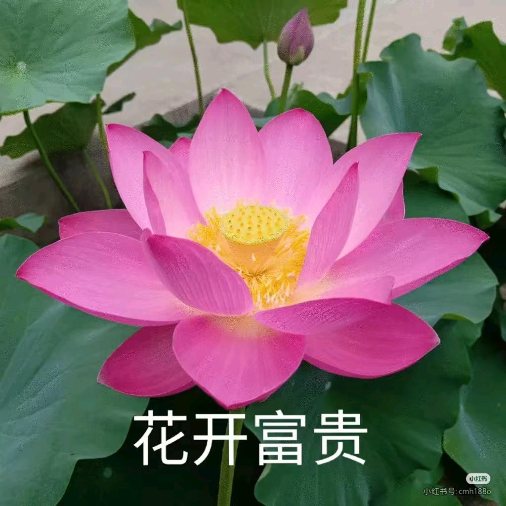 💞ℯ⃝王小云💕⁵²º࿐