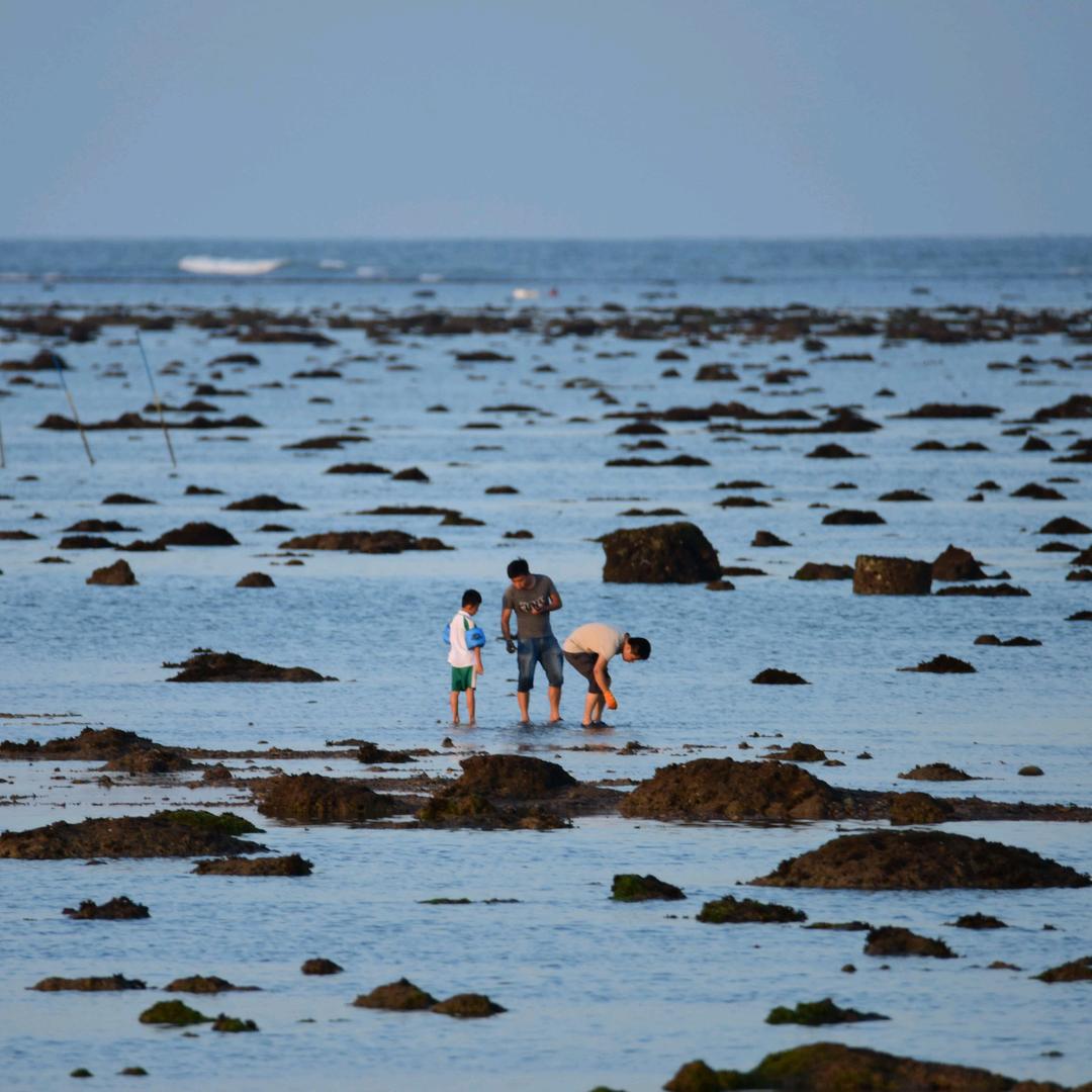 姨夫家的小海鲜