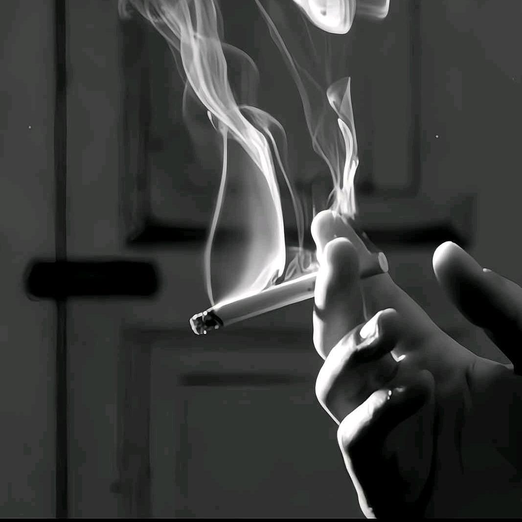 @无情哈啦哨@