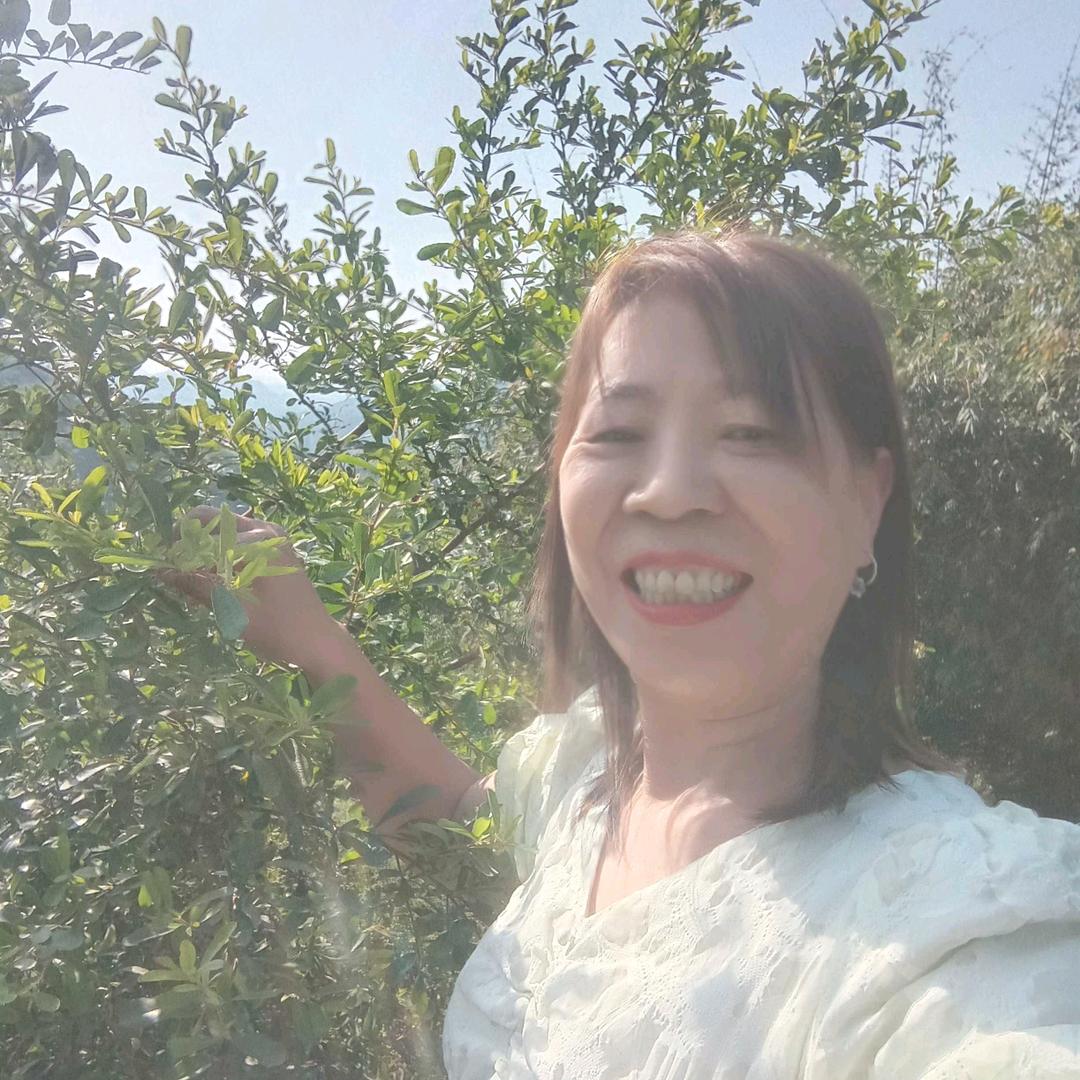 忘掉过去