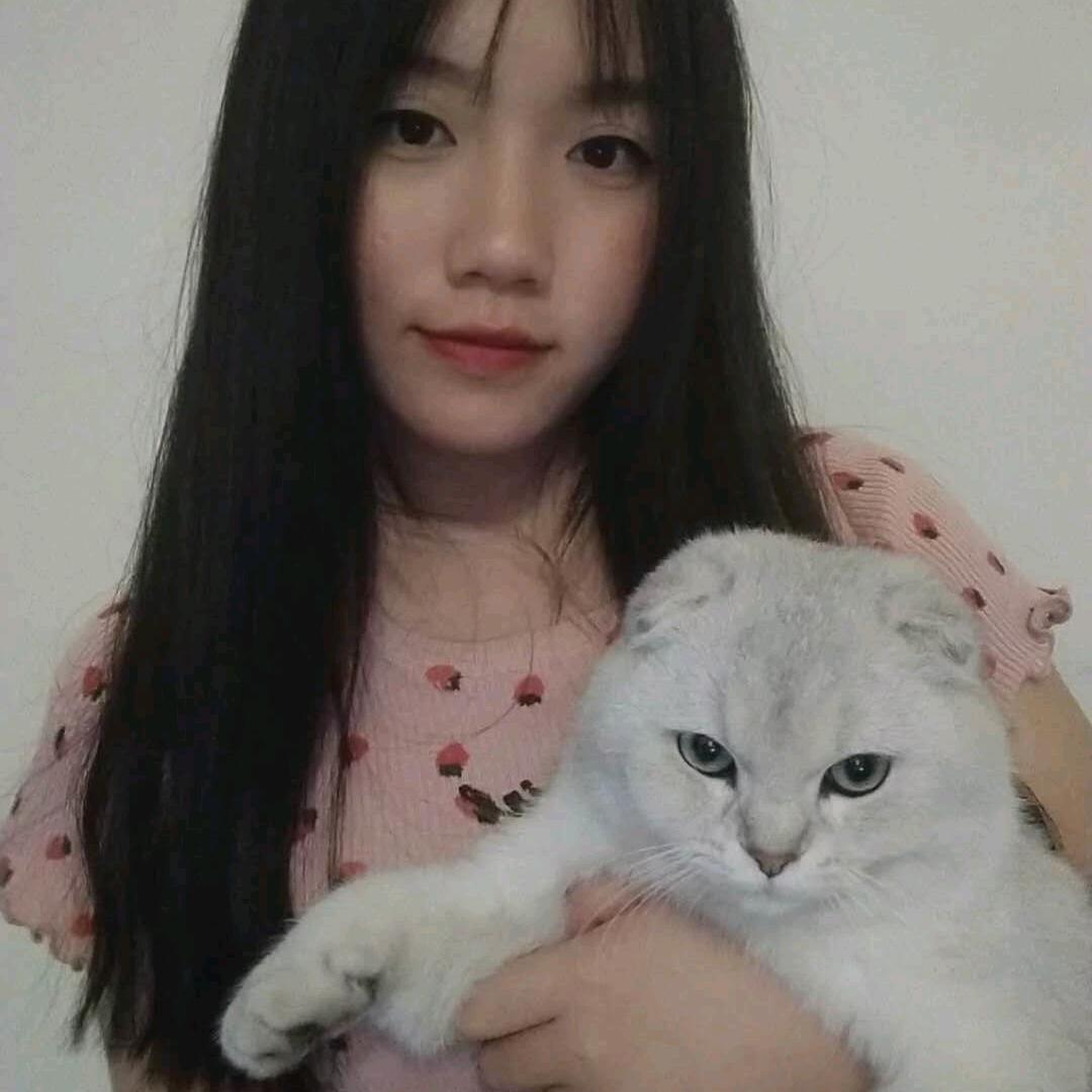 蝶恋花🌸🌸🌸