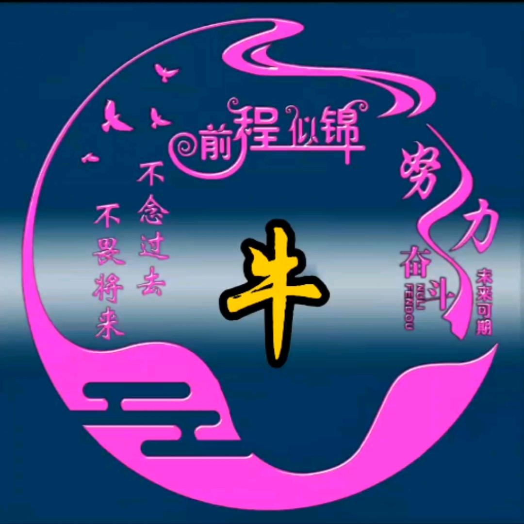 牛牛拉车