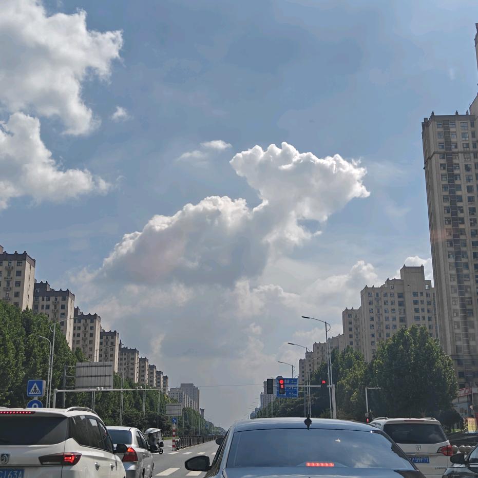 腾龙驾校——潇潇
