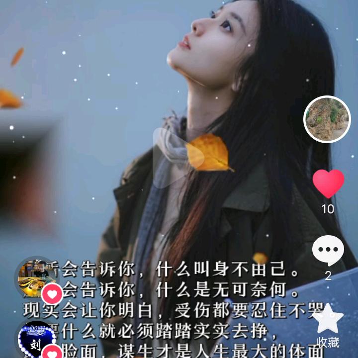 带刺的小玫瑰