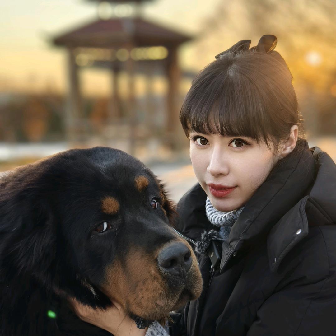 养藏獒的小姐姐