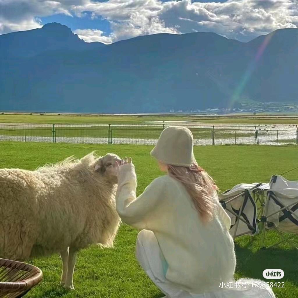 呆呆不爱吃香菜