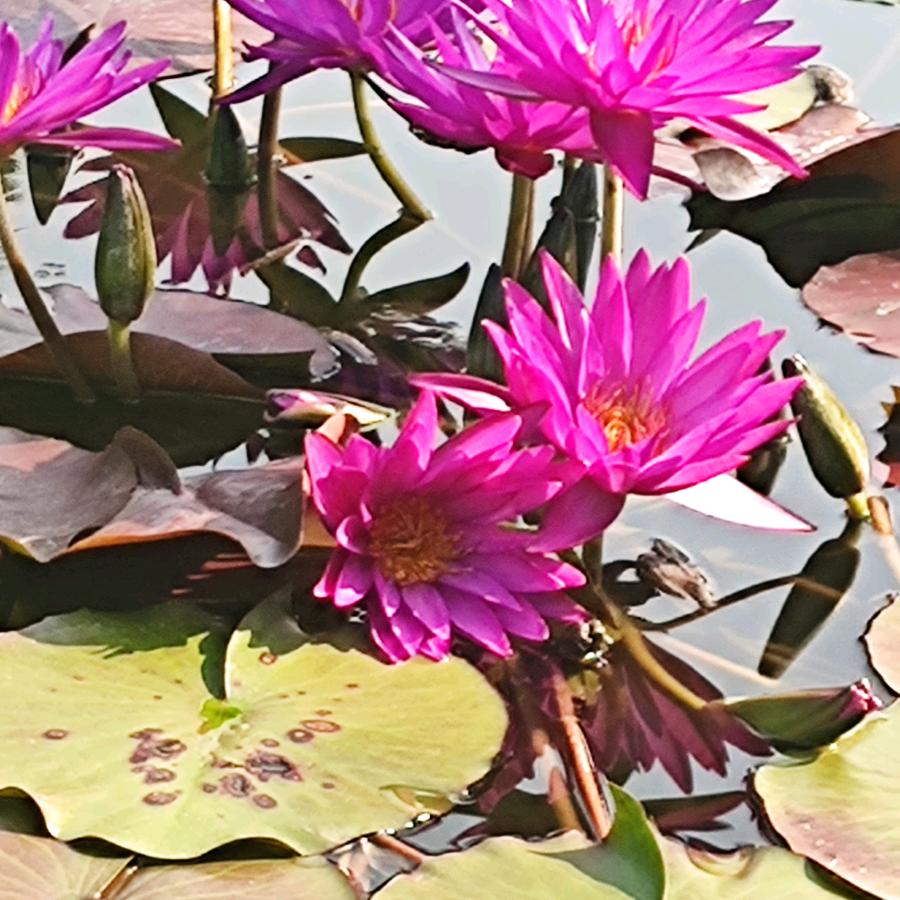 大家好才是真的好