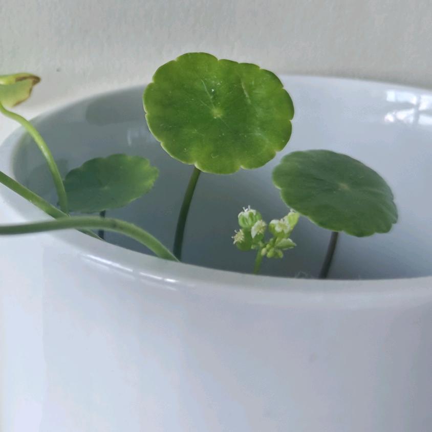 你好!陌生人!