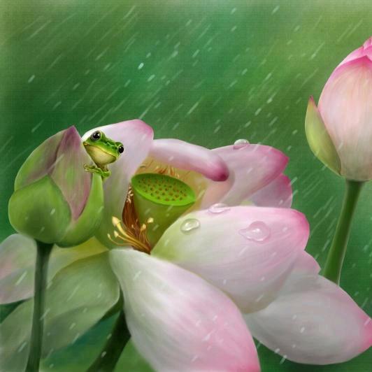 向阳花开🌸