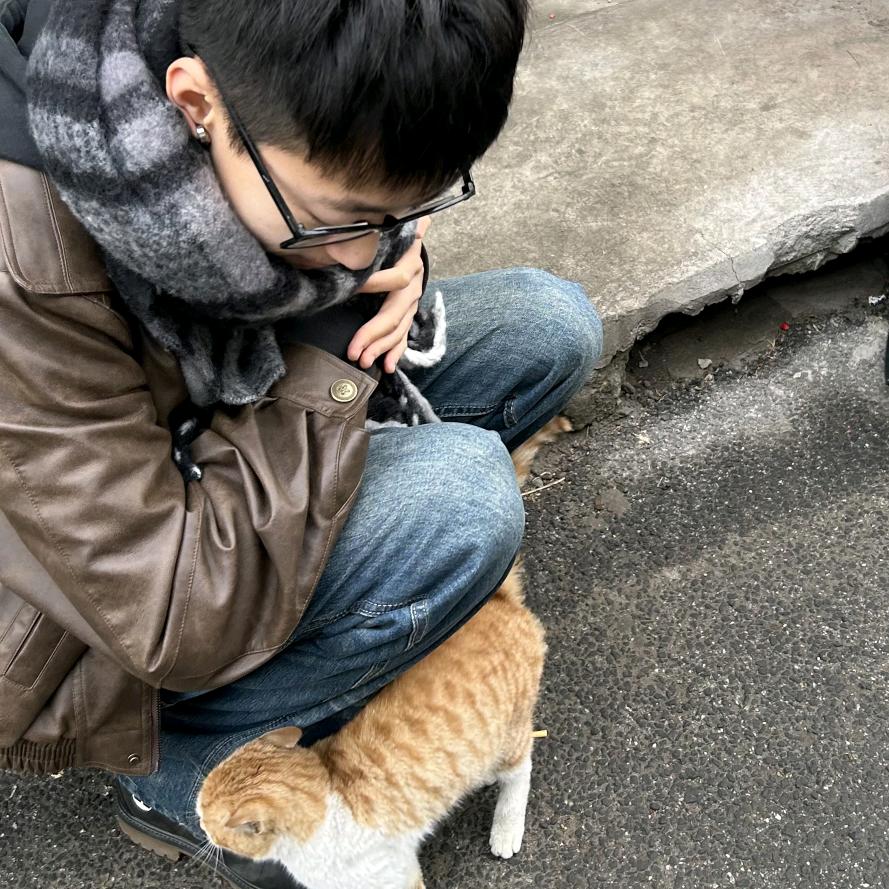 胖霖