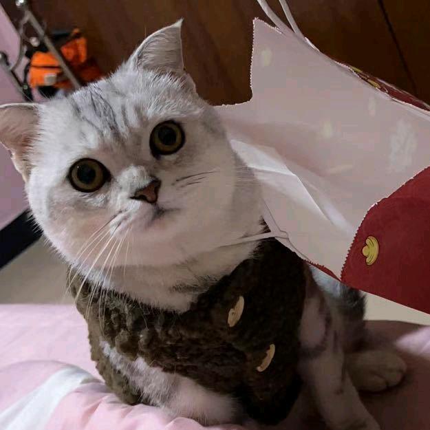 汤圆圆（蕊·流心）