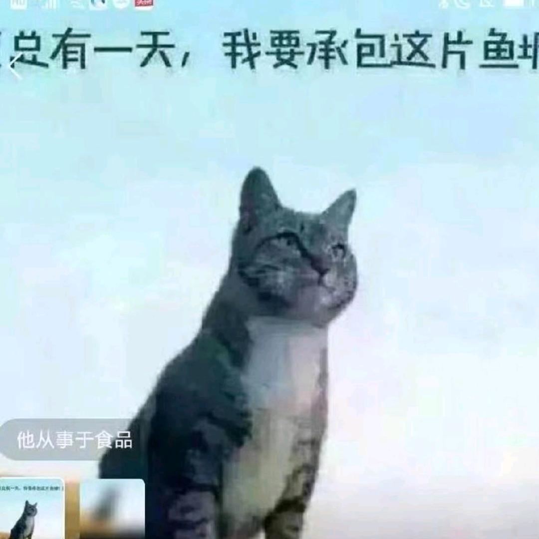 海杉厨房