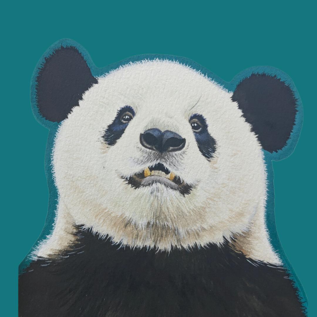 打败兰双双