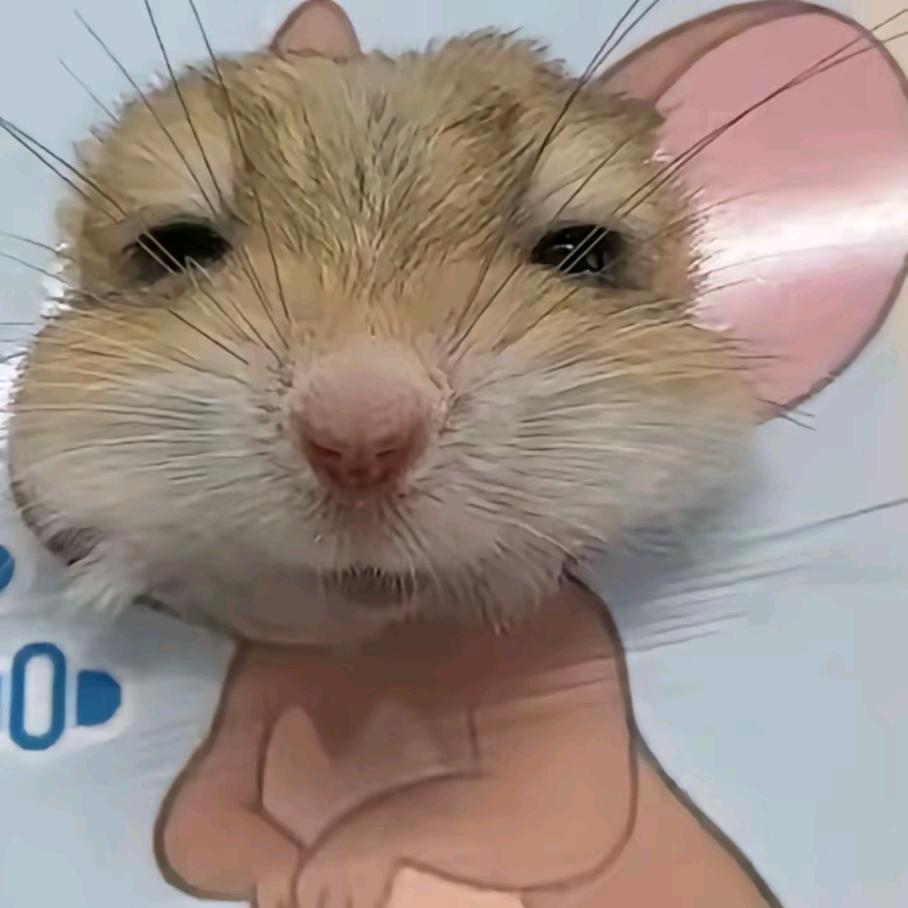 hhhhh