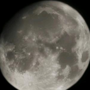 (●—●)(●—●)