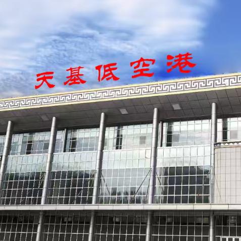 低空经济～蒙哥