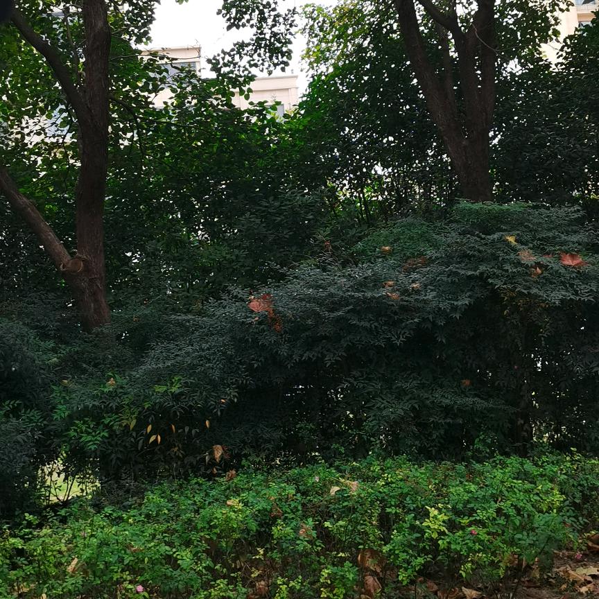 我最亲的人，离开我了，心撕裂的痛啊…