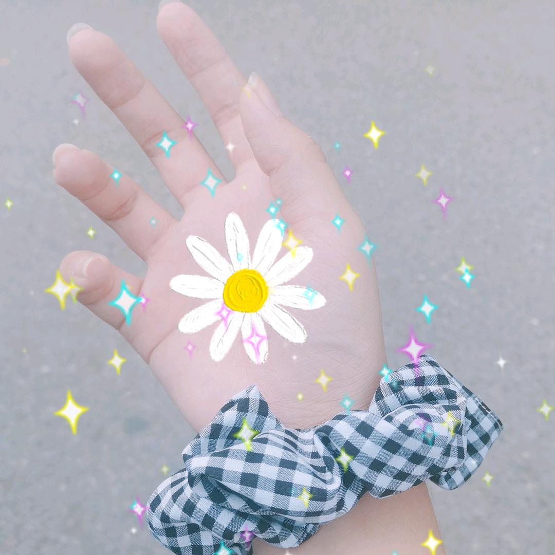 琴愿