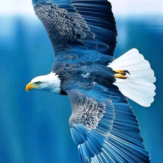 A天空