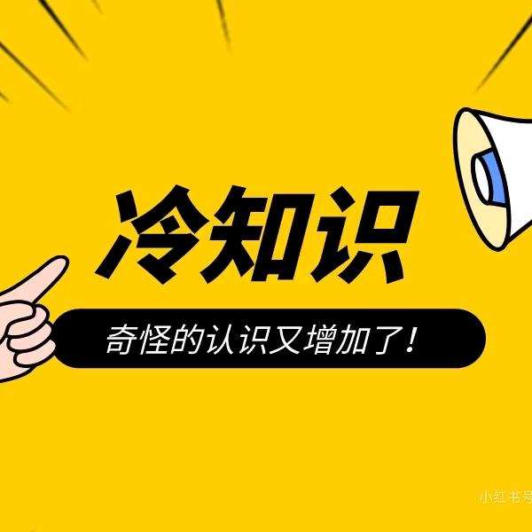 祥子省流说