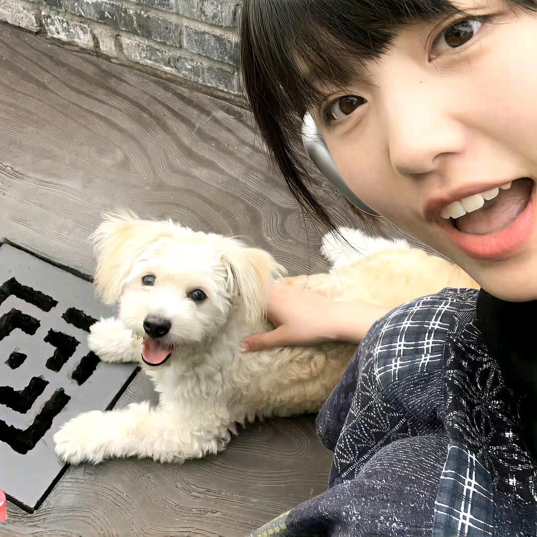 不爱吃青菜