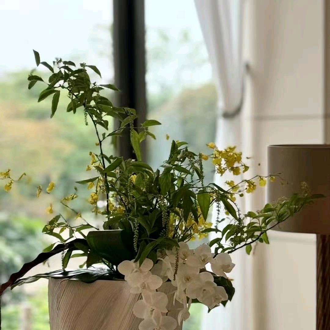 霖霖