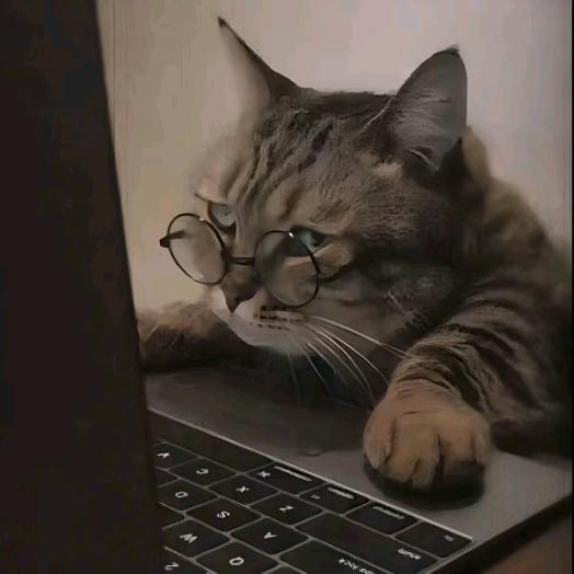。。