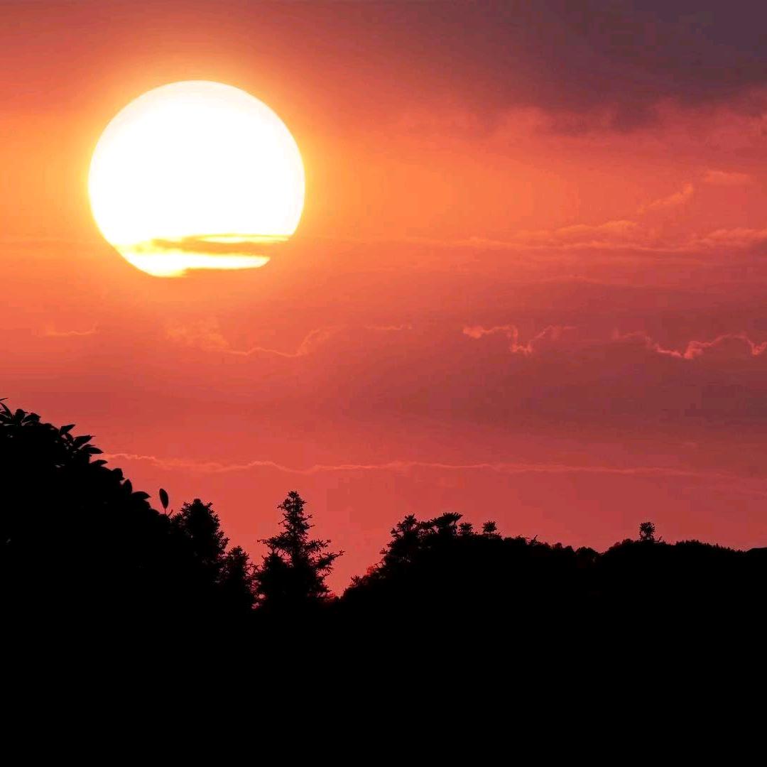 平平淡淡才是真2021