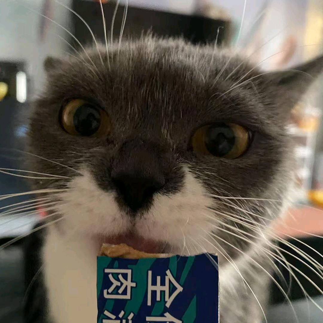 仗义肉