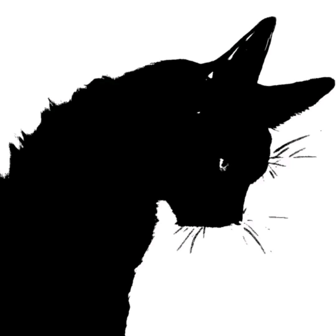 吃了星星的猫