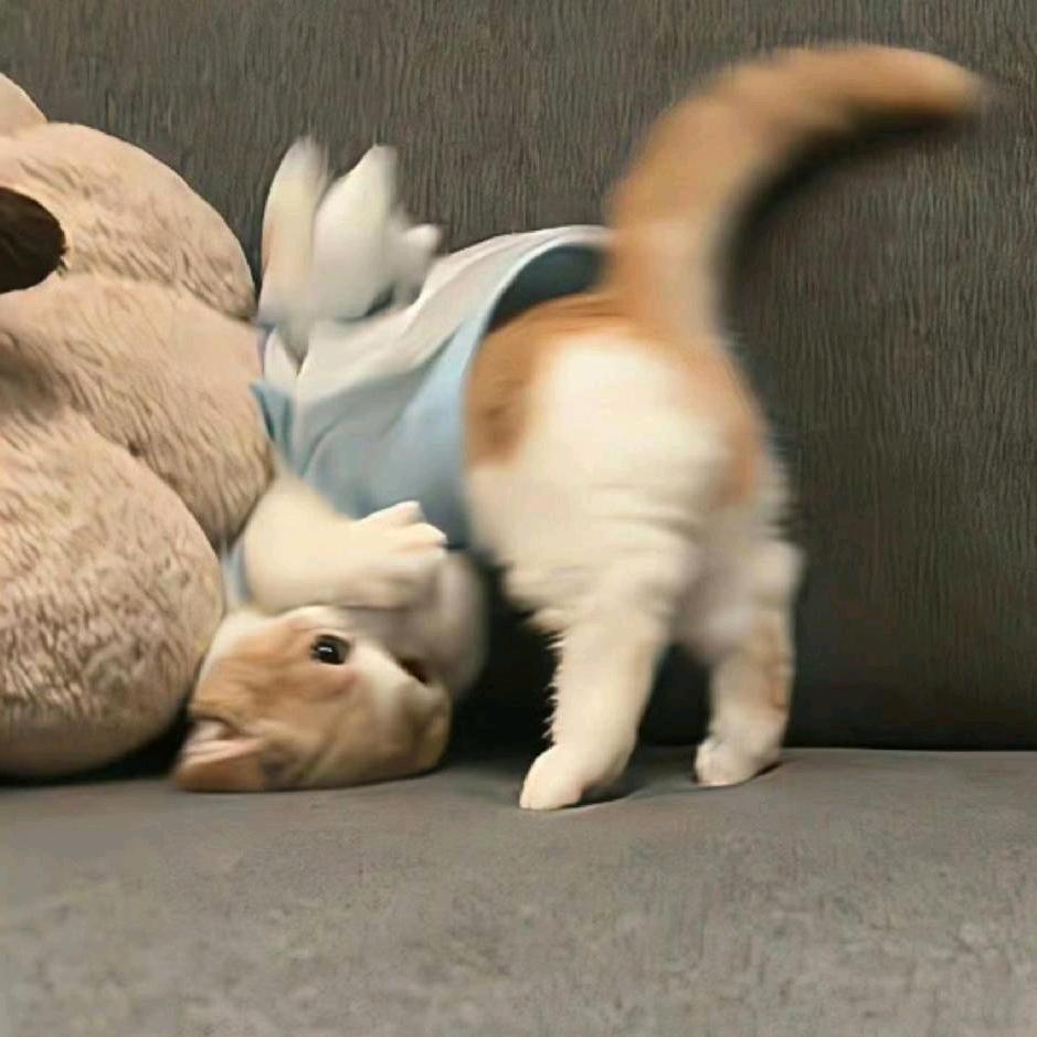 心软