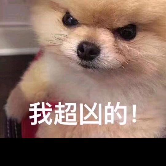 天王巨鑫👏🏿