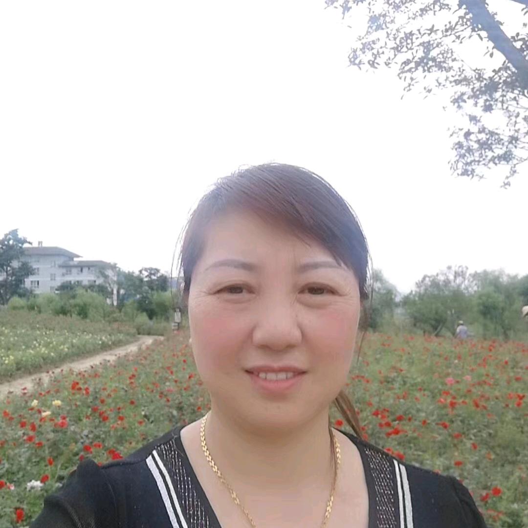 陆姐